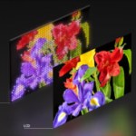 Sony veut révolutionner l&rsquo;affichage TV avec sa nouvelle technologie de rétroéclairage Mini LED RGB indépendant