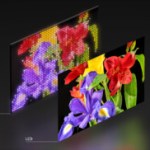 Dépôt de la marque « True RGB » et fuite des gammes TV de Sony pour 2026 Dépôt de la marque « True RGB » et fuite des gammes TV de Sony pour 2026