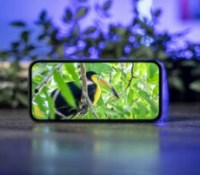 Le Google Pixel 9a se dote d&rsquo;une version d&rsquo;Android sécurisée et 100% sans Google