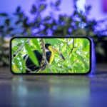 Amazon fait chuter le prix du Google Pixel 9a, qui devient une excellente alternative au Pixel 10a récemment sorti Amazon fait chuter le prix du Google Pixel 9a, qui devient une excellente alternative au Pixel 10a récemment sorti