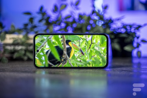 Google Pixel 9a 8