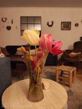 IMG_20250428_002321142