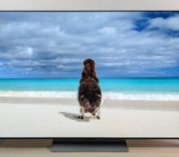 Il a rarement été aussi intéressant de craquer pour l&rsquo;excellent TV OLED C4 de LG, dans sa version 48 pouces, que maintenant