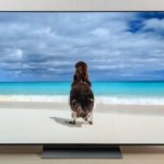Il a rarement été aussi intéressant de craquer pour l’excellent TV OLED C4 de LG, dans sa version 48 pouces, que maintenant Il a rarement été aussi intéressant de craquer pour l’excellent TV OLED C4 de LG, dans sa version 48 pouces, que maintenant