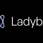 C&rsquo;est quoi Ladybird, ce futur navigateur qui défie Chrome et Firefox en repartant aux sources