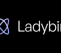 Ladybird est un navigateur internet annoncé comme vraiment indépendant.