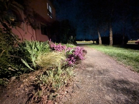 PXL_20250407_203428490