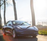 Les chiffres sont formels : les propriétaires de Tesla sont loin de vouloir se séparer de leur voiture électrique