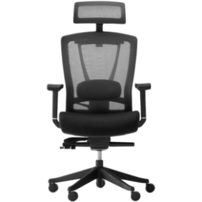 Autonomous ErgoChair Pro
