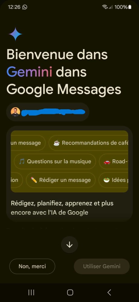 Gemini Google Messages ann