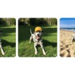 Google contre-attaque ChatGPT avec un outil photo bluffant dans Gemini Google contre-attaque ChatGPT avec un outil photo bluffant dans Gemini