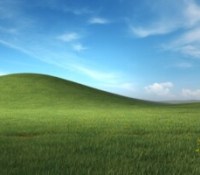 Windows XP wallpaper