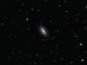 NGC 2903