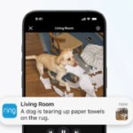 Ring déploie l’IA descriptive sur ses caméras : « un chien déchire du sopalin sur le tapis du salon » Ring déploie l’IA descriptive sur ses caméras : « un chien déchire du sopalin sur le tapis du salon »