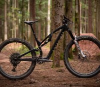 Rockrider E-Feel 900S Team Edition