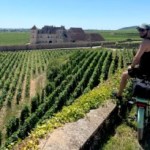 J’ai fait les vignobles de Bourgogne à vélo électrique : entre paysages hypnotiques, visites instructives et repas plus que gourmets J’ai fait les vignobles de Bourgogne à vélo électrique : entre paysages hypnotiques, visites instructives et repas plus que gourmets
