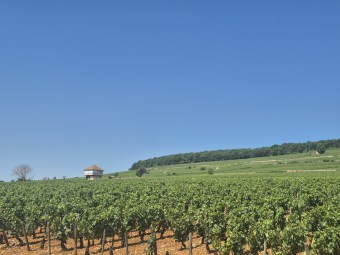 Paysages