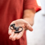 Test SoundCore Aerofit 2 : l&rsquo;open-ear qui tient la route