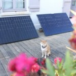 Comparatif Beem On vs Sunology Play2 : voici le match des stations solaires « plug-and-play » nantaises Comparatif Beem On vs Sunology Play2 : voici le match des stations solaires « plug-and-play » nantaises