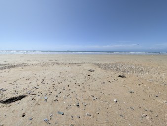 PXL_20250826_132655595
