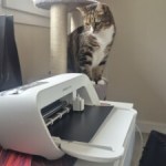 J&rsquo;ai essayé la Cricut JoyXtra, le cadeau rêvé pour les passionnés de DIY