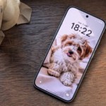 Test de l&rsquo;Oppo Reno 14 5G : un smartphone polyvalent, solide et pas sans défauts