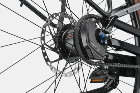 Cannondale FlyingV transmission Nexus