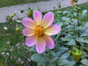 IMG_20250930_173803