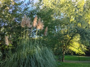 IMG_20250930_174016