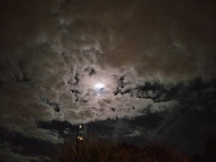 IMG_20251005_231125