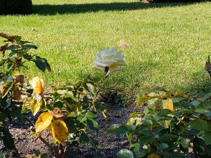 IMG_20251018_140554