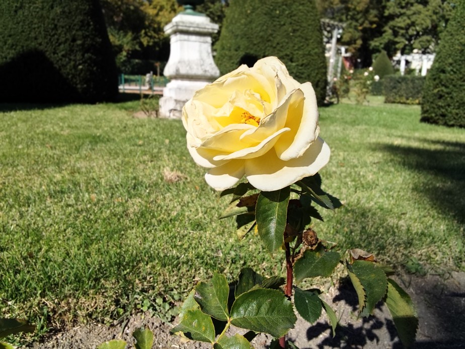 IMG_20251018_140744