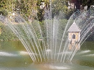 IMG_20251018_142733