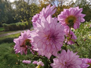 oplus_3145728
