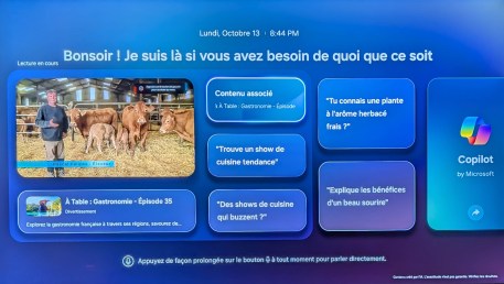 Samsung 55QN70F // Source : Sylvain Pichot - Frandroid