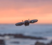 Le DJI Neo 2