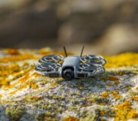 DJI Neo 2