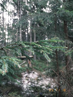 DSCF0074