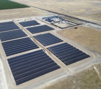 Tesla Oasis // Source : Tesla