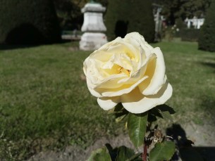 IMG_20251018_121049