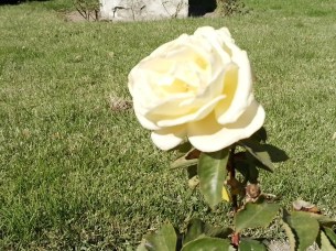 IMG_20251018_121112