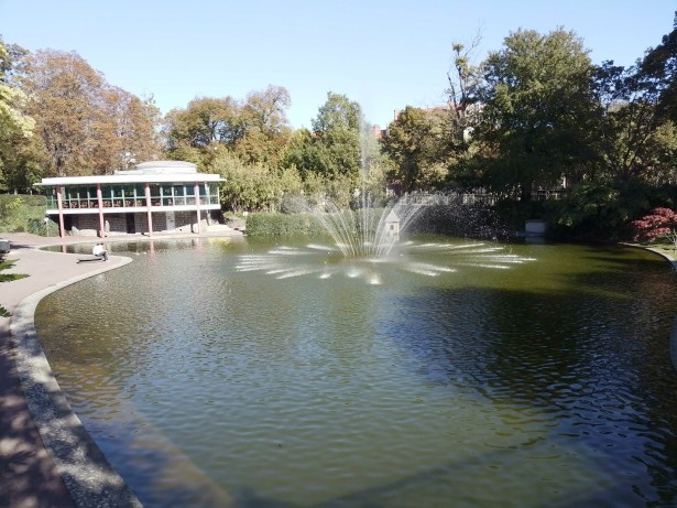 IMG_20251018_122920