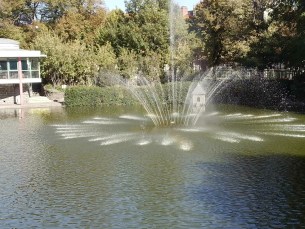 IMG_20251018_122926