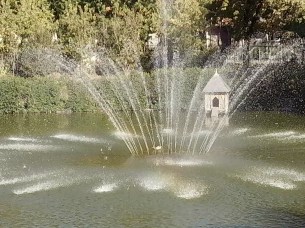 IMG_20251018_122932