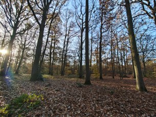 IMG_20251109_091131816_HDR