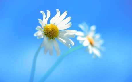 img0 (8)