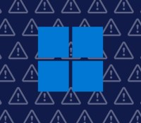 Microsoft bugs