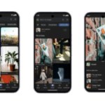 L’application Google prend des airs de Pinterest avec cette mise à jour L’application Google prend des airs de Pinterest avec cette mise à jour