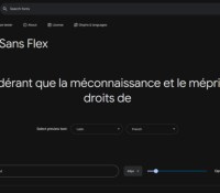 Police Google Sans Flex