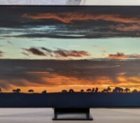 Samsung 55QN80F // Source : Sylvain Pichot - Frandroid